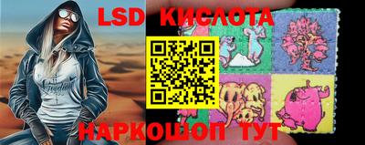 шишки Новодвинск