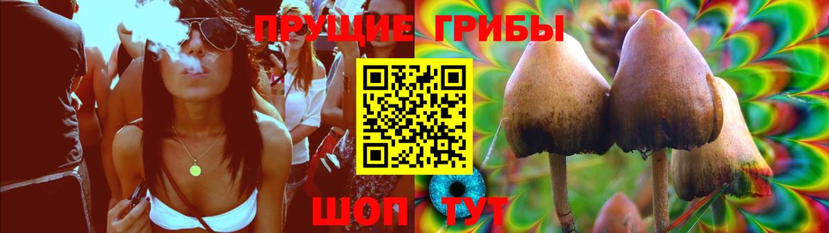 Псилоцибиновые грибы мицелий  купить   Павлово  Вход с VPN  Галлюциногенные грибы ЛСД 